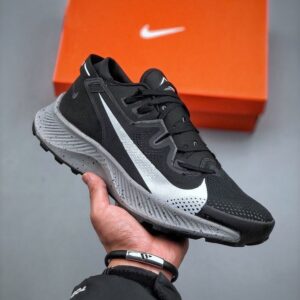 Zoom Pegasus