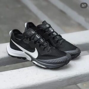 Zoom Pegasus