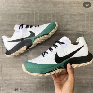 Zoom Pegasus